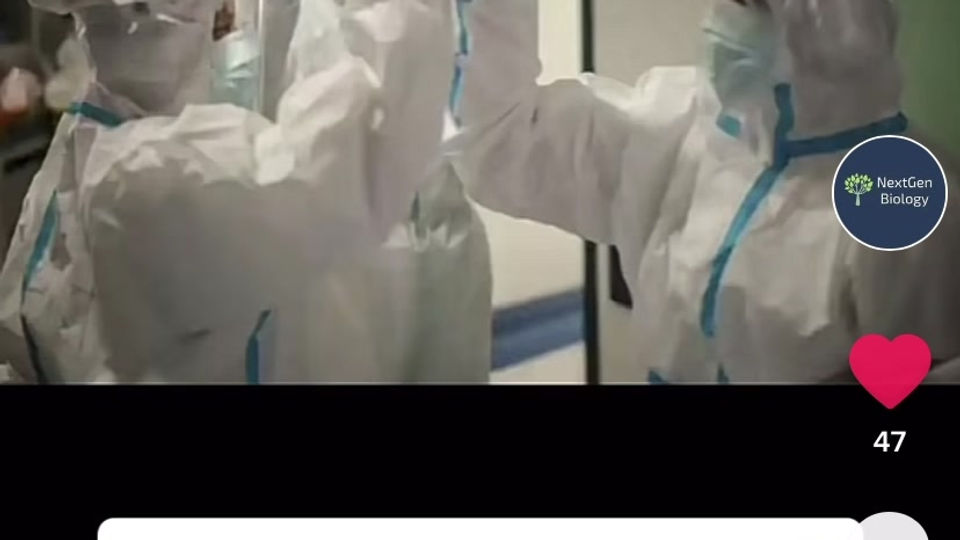 Life as a Immunologist